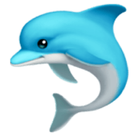 Dolphin